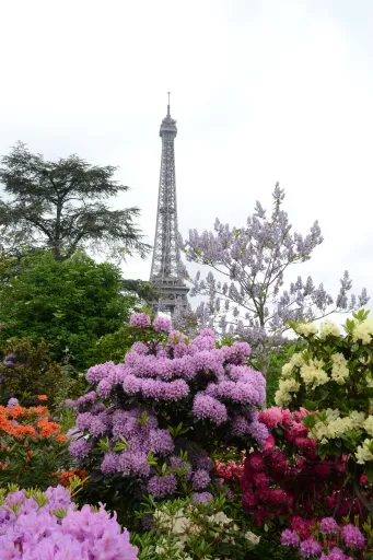 Párizs Eiffel-torony virágok között