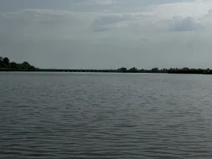 tisza1