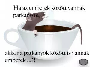 Ha az emberek között vannak patkányok, akkor a patkányok között is vannak emberek?