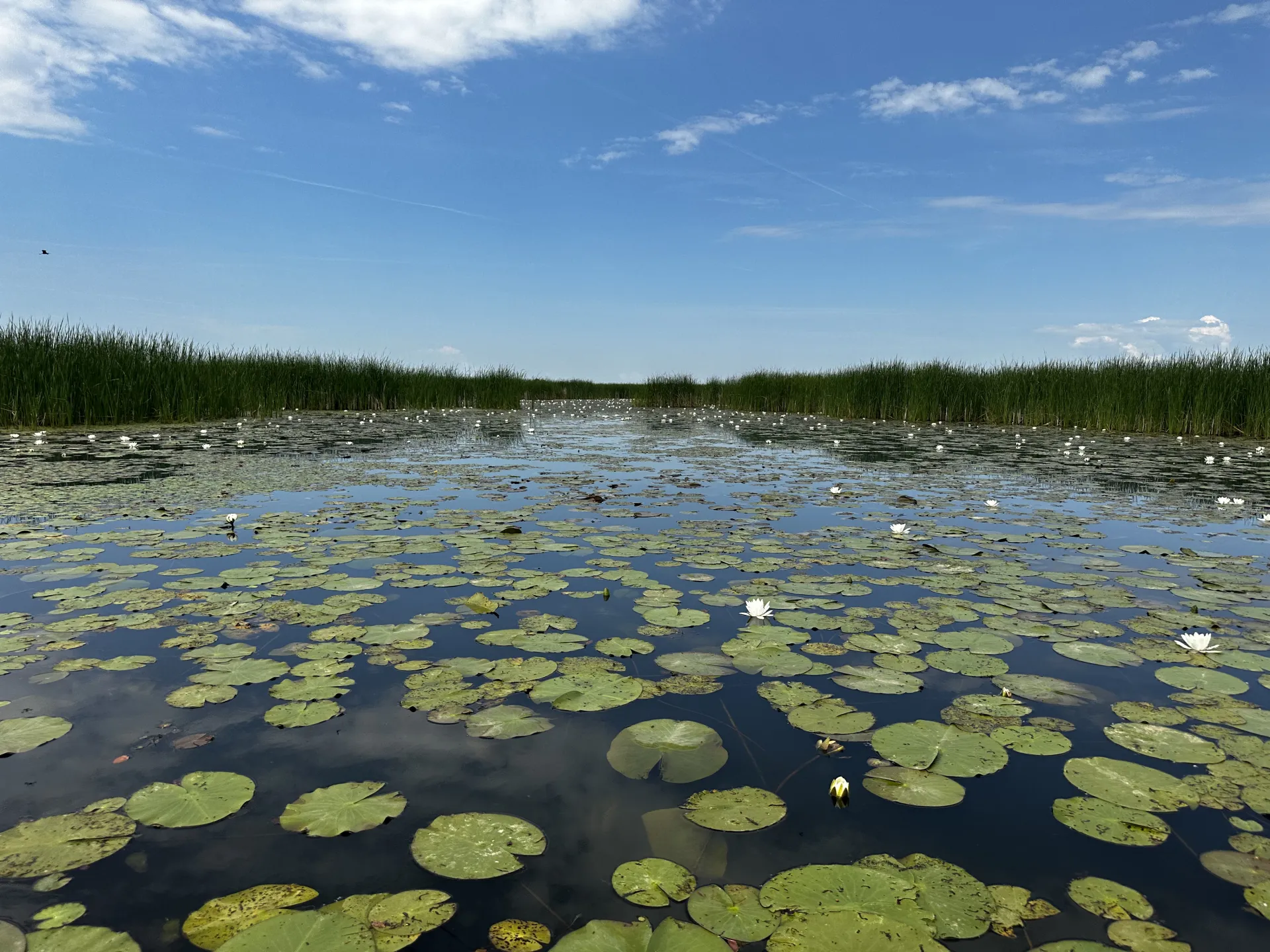 tisza kép 10