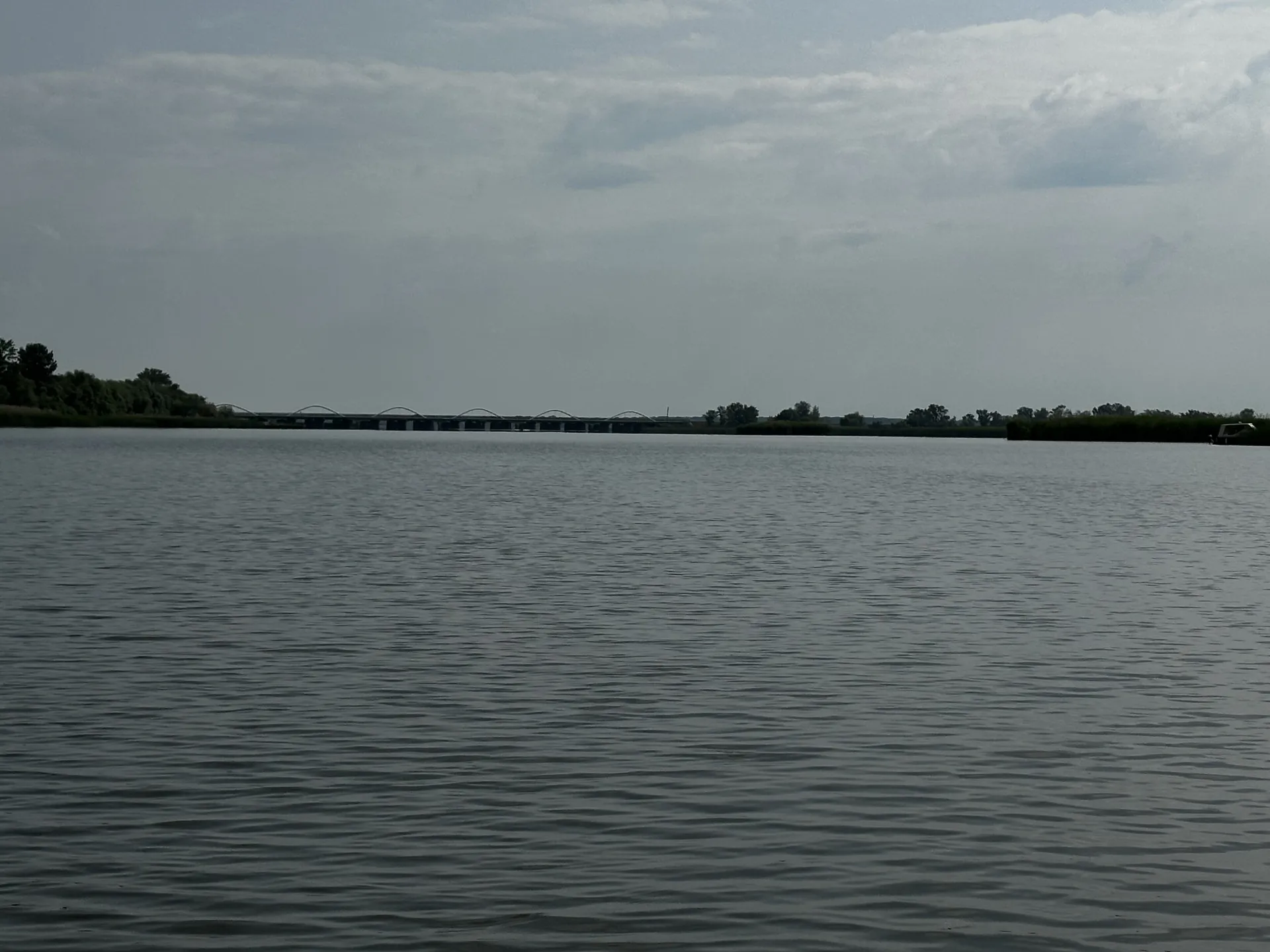 tisza1