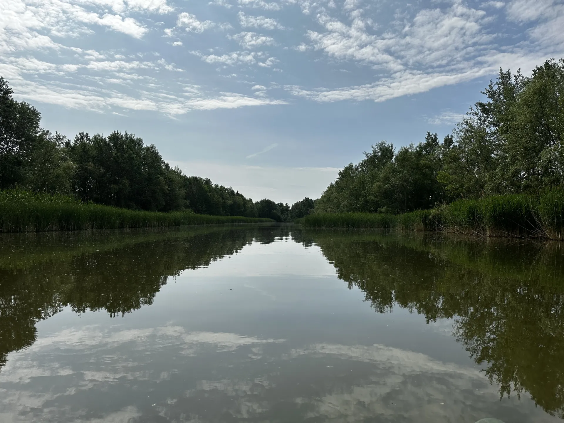 tisza kép 2