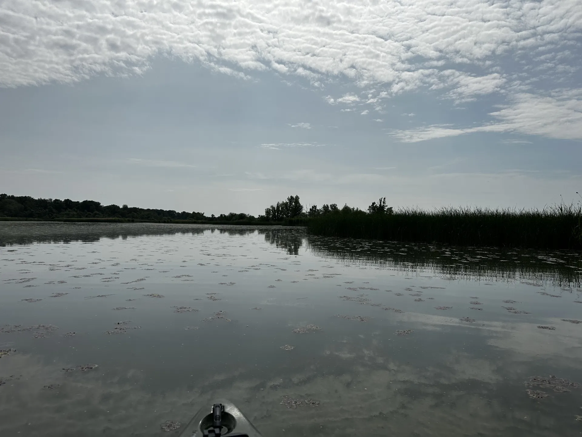 tisza kép 5
