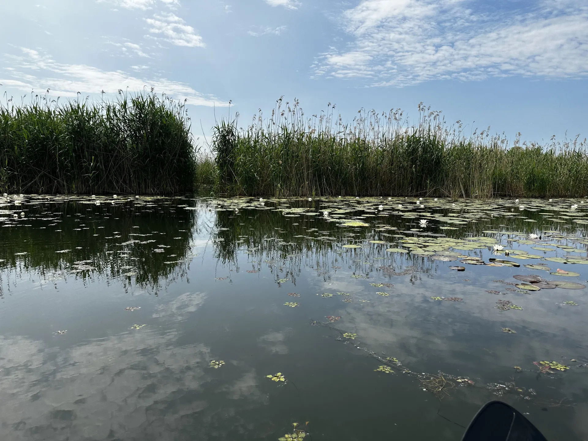 tisza kép 7