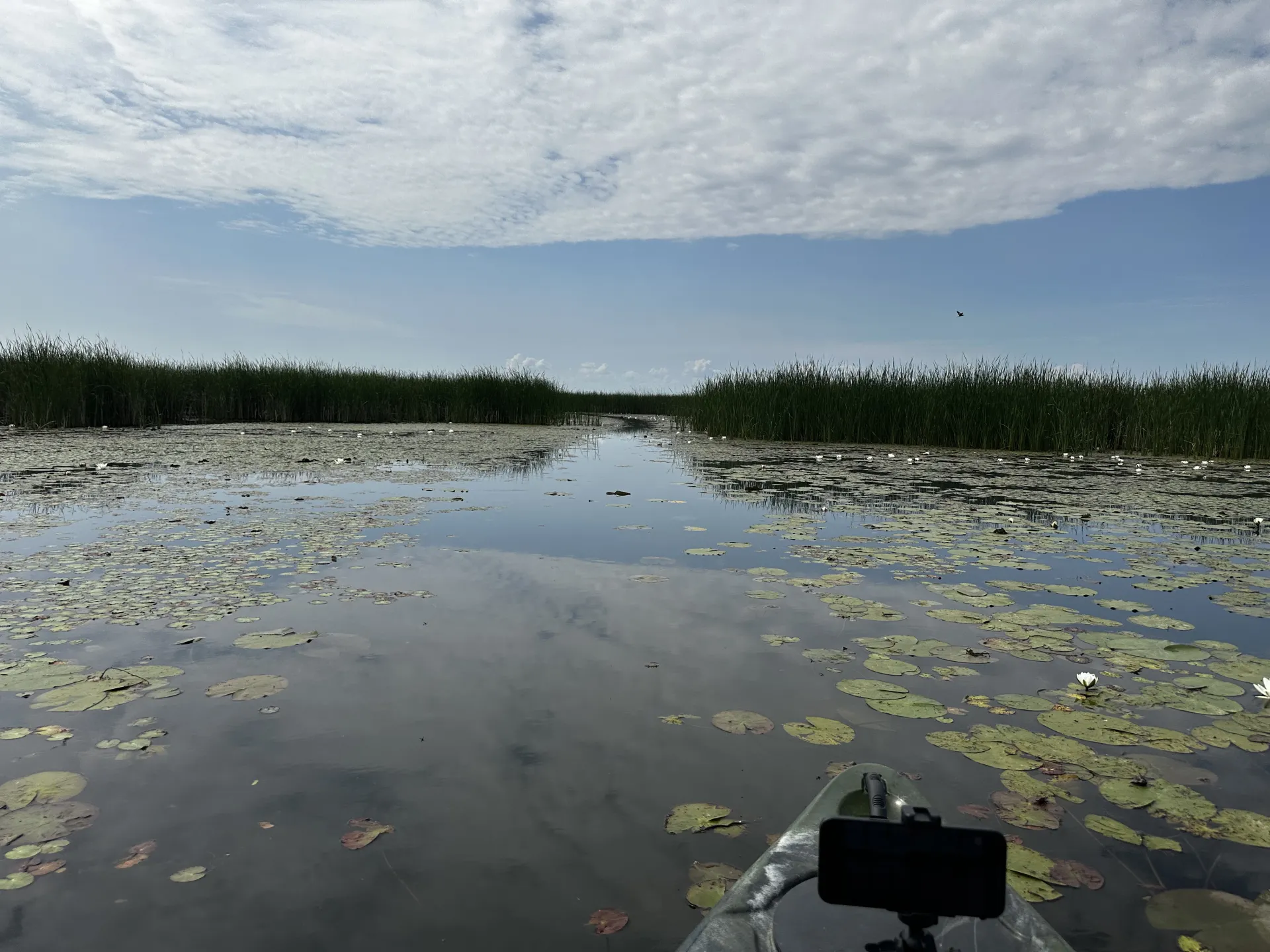 tisza kép 9