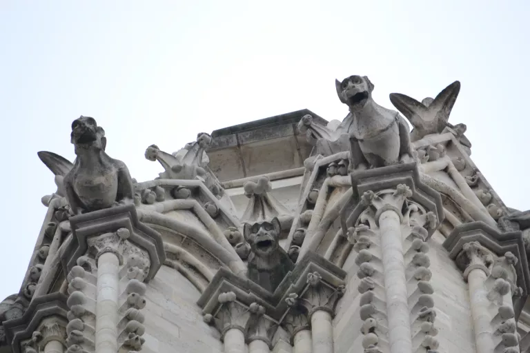 Notre Dame vízköpők